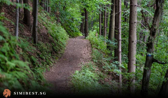 Best Hiking Trails 2024