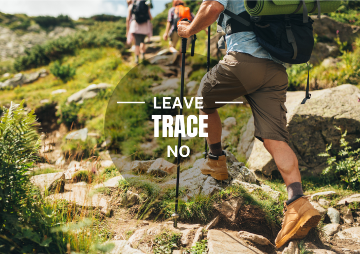 Eco-Friendly Hiking Practices